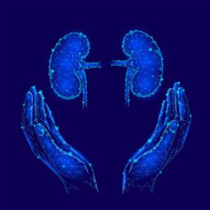 World Kidney Day greeting card low poly design template. Health awareness promotional poster human internal organ banney polygonal point line kidneys in hands care holding vector illustration art